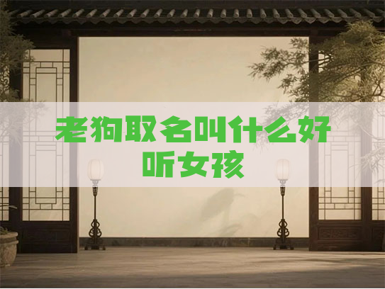 老狗取名叫什么好听女孩 老狗取名叫什么好听女孩