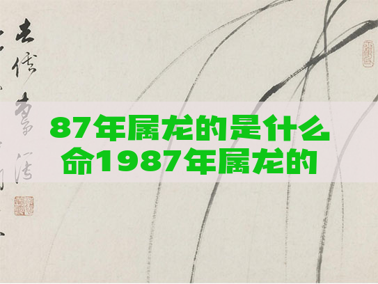 87年属龙的是什么命1987年属龙的是什么命