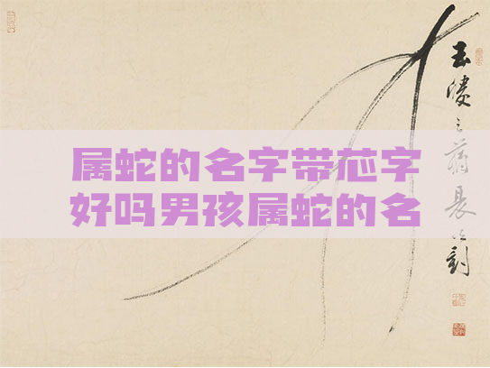 属蛇的名字带芯字好吗男孩属蛇的名字带芯字好吗男孩子