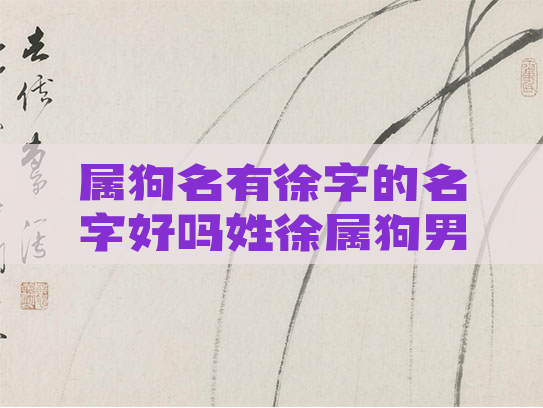 属狗名有徐字的名字好吗姓徐属狗男孩名字大全